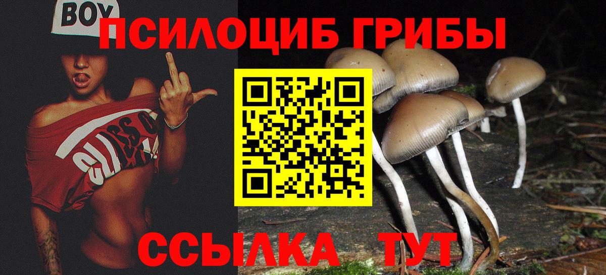 Галлюциногенные грибы GOLDEN TEACHER Белогорск